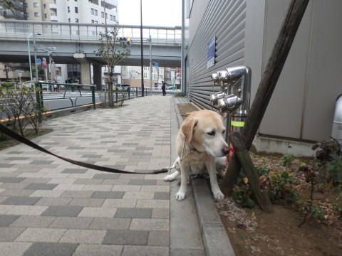 f0052277_00392866.jpg