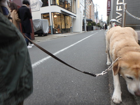 f0052277_01055906.jpg