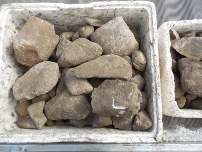 石拾い_c0332682_21475823.jpg