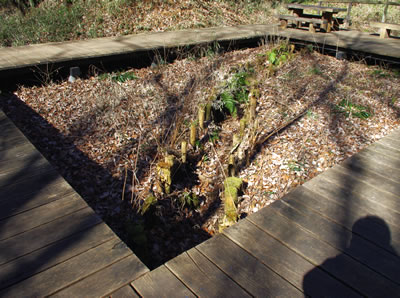 b0123486_1012212.jpg