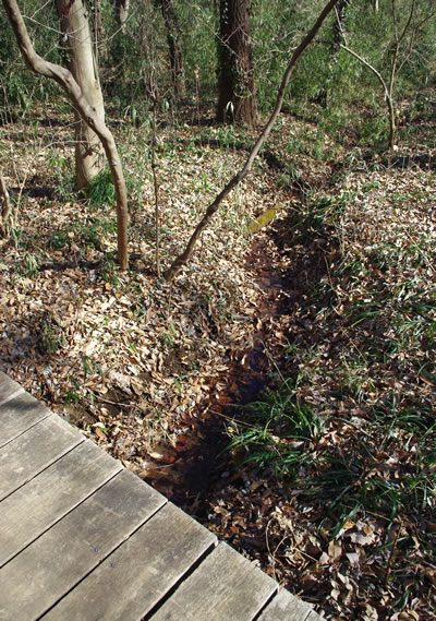 b0123486_10293337.jpg