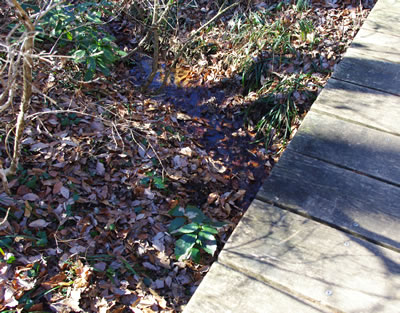 b0123486_8294250.jpg