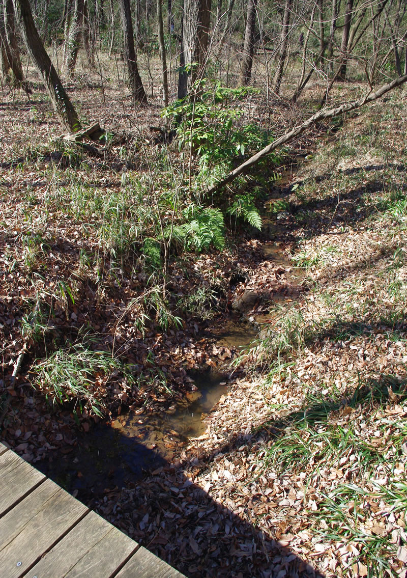 b0123486_8552254.jpg