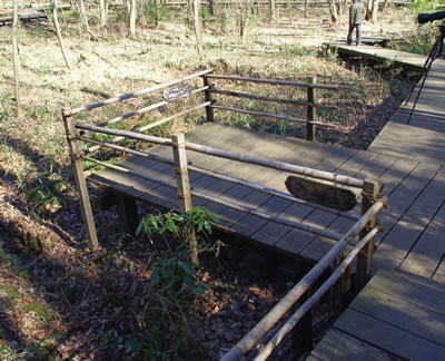 b0123486_971264.jpg