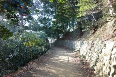  ぶらり日野(2)　高幡＆万願寺_d0183387_15140784.jpg