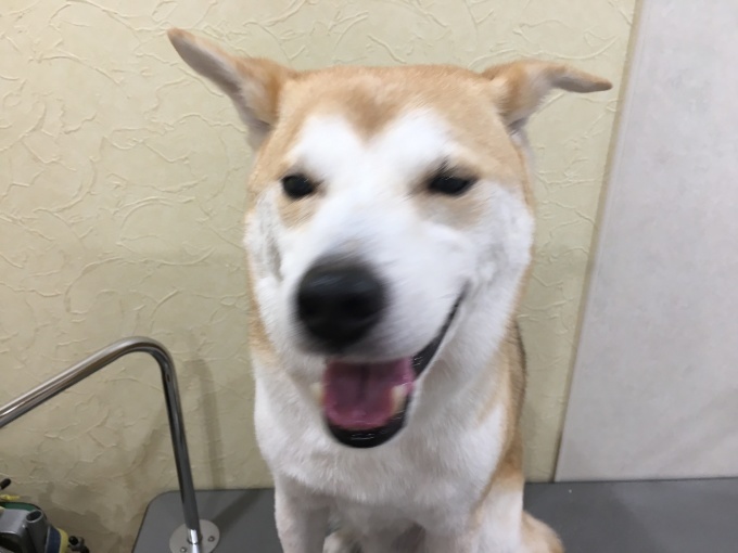 d0269898_18050220.jpeg