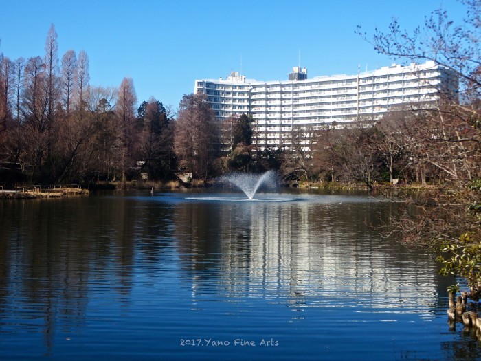 井の頭公園散歩 ♬ in kichijouji_b0147808_17551126.jpg