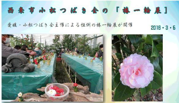 f0231709_22413739.png