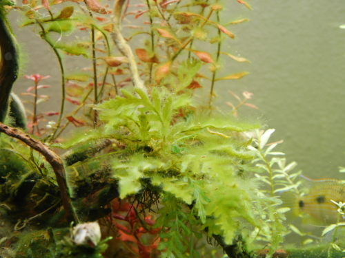 c0337613_16281116.jpg