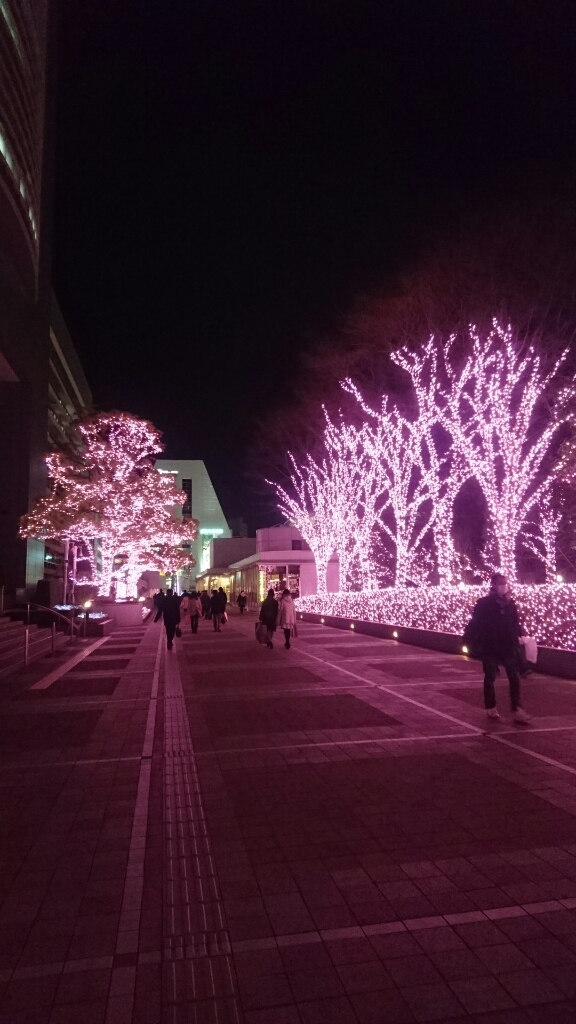 e0058913_20122833.jpg
