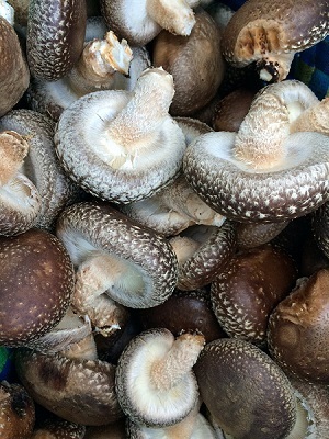 f0377520_16232558.jpg