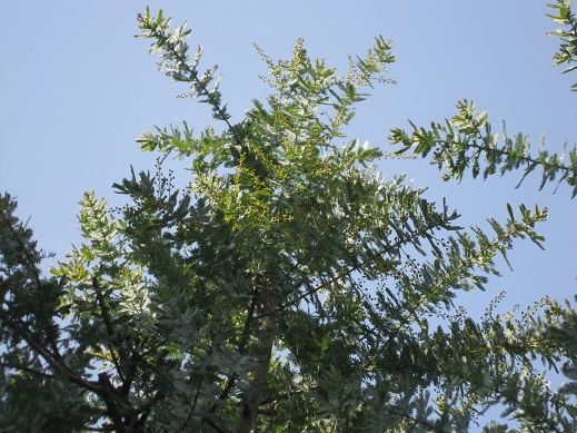 f0370337_13173847.jpg