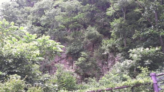 f0339053_21283340.jpg