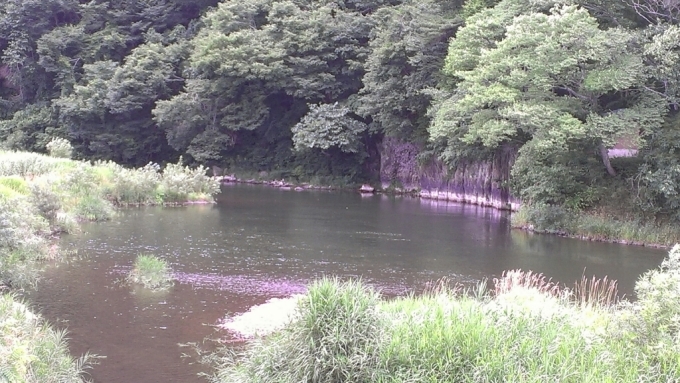 f0339053_21283733.jpg
