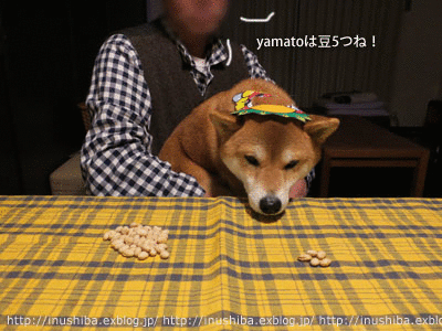 a0286855_06182824.gif