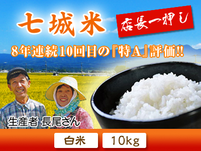 『無農薬栽培にんにく』 定植後の冬の様子_a0254656_17263072.jpg
