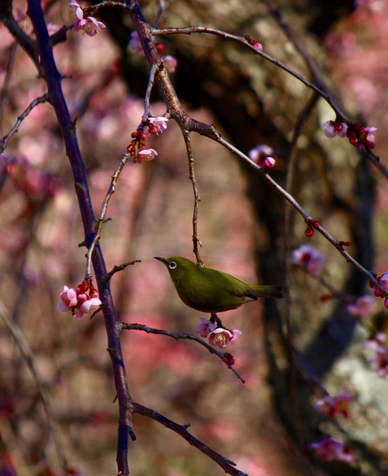 またまた荒れ模様に 。。。 ! ?_a0248459_19461143.jpg