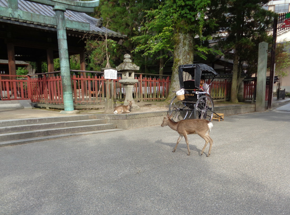 日本遠征記 Vol.54 中年目線の宮島・見納め散策_e0034987_04342885.jpg