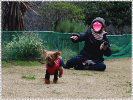 b0175688_22554440.gif