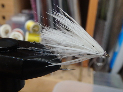 coq de leon soft hackle with Chickabou_a0258799_165195.jpg