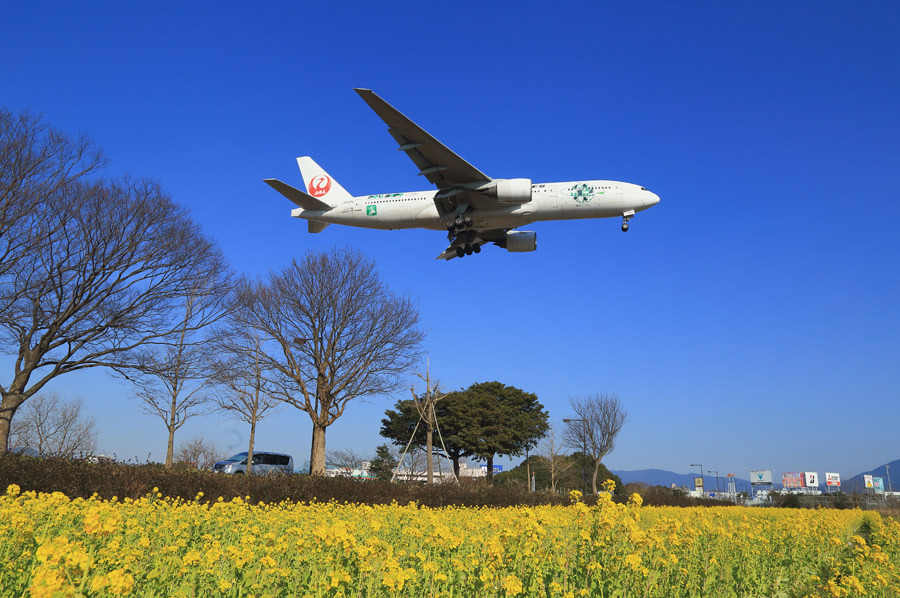 早春の福岡空港(動画あり)_e0093903_11462907.jpg