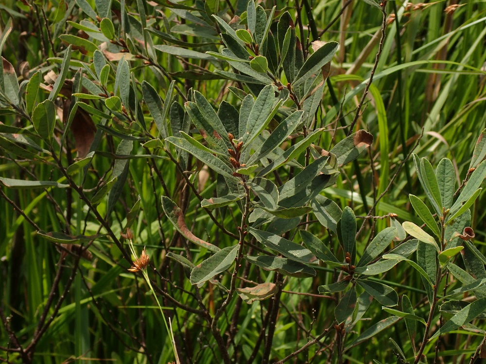 b0137208_21221137.jpg
