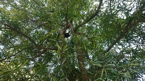 b0187620_18571026.jpg