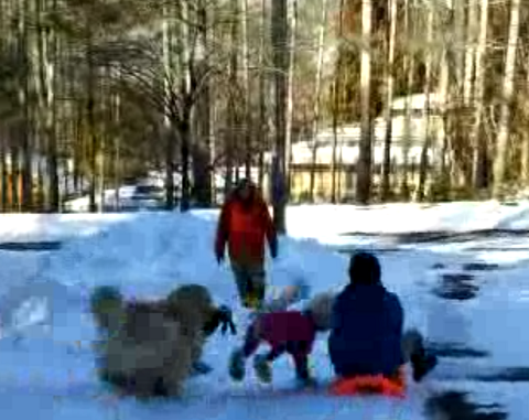 f0377520_19054591.png