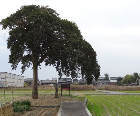 f0000521_77165.jpg