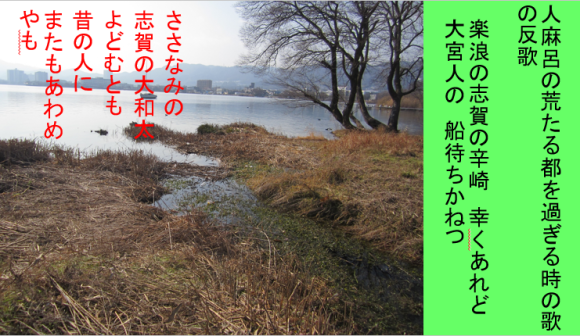 a0237545_15543891.png