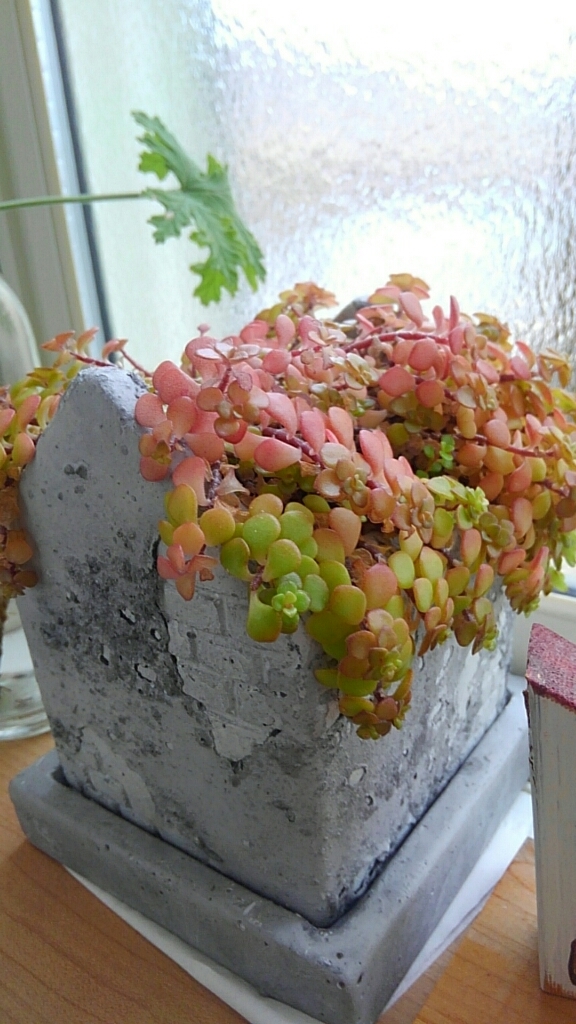 d0314745_15094937.jpg