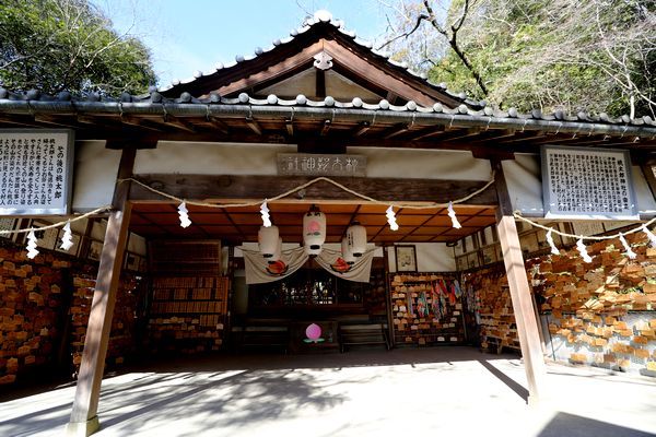 桃太郎神社_b0182547_20250707.jpg