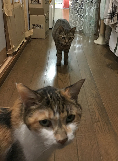 気になる_a0028451_19330562.jpg