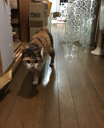 気になる_a0028451_19330696.jpg