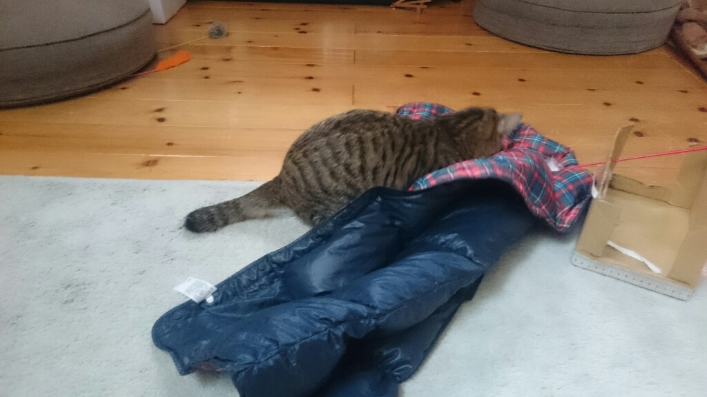 c0150772_12313132.jpg
