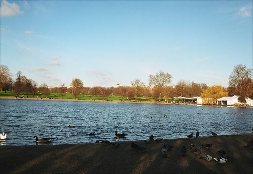 b0346378_15230946.jpg