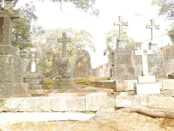 f0181793_14114629.jpg