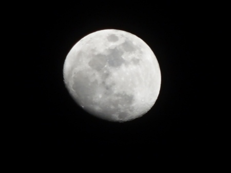 a0125598_21295512.jpg