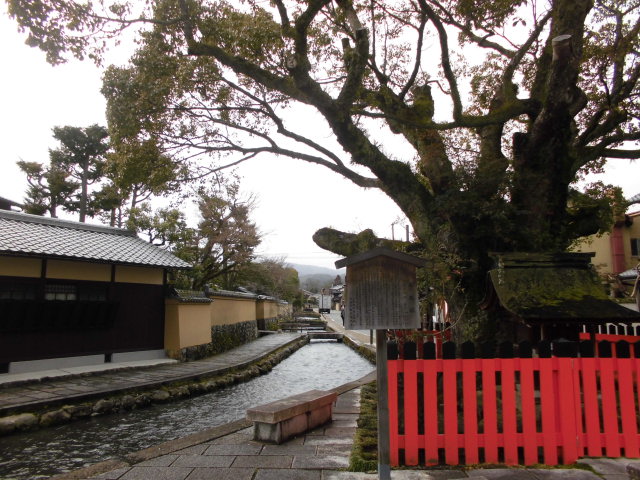 c0054498_17511421.jpg