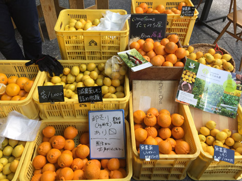 北新地 GREEN MARKET @ル・シュクレクール_b0118001_84528.jpg
