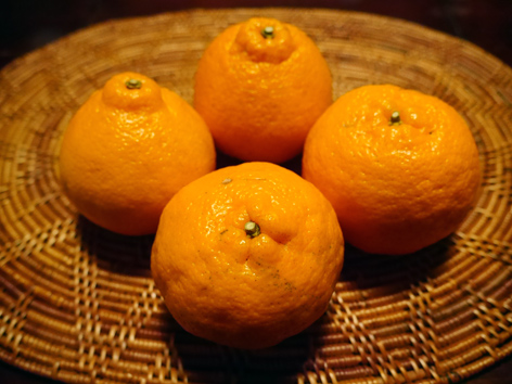 北新地 GREEN MARKET @ル・シュクレクール_b0118001_8475172.jpg