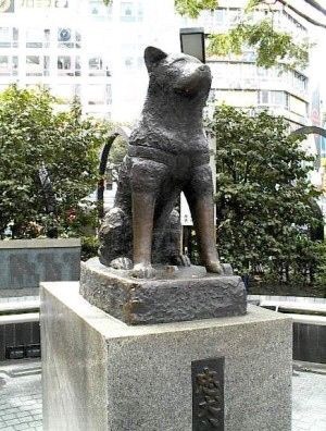 2月9日(木)山本がお伝えします TOMMYの1日 ランクル ハマー アルファード_b0127002_18141951.jpg