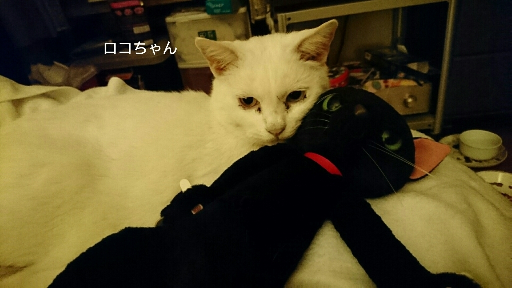 b0187620_20185063.jpg