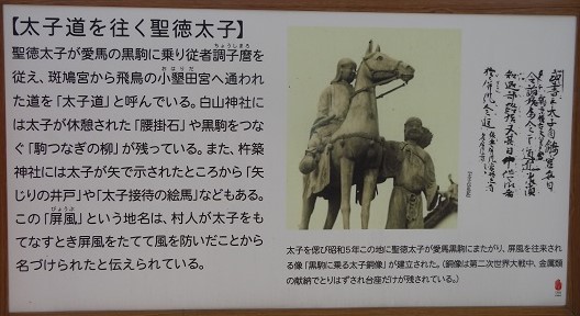 f0000521_802828.jpg