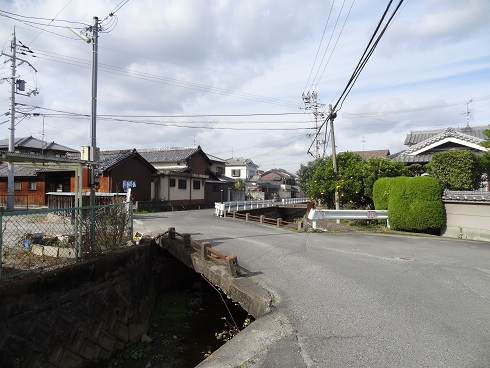 f0000521_8241345.jpg