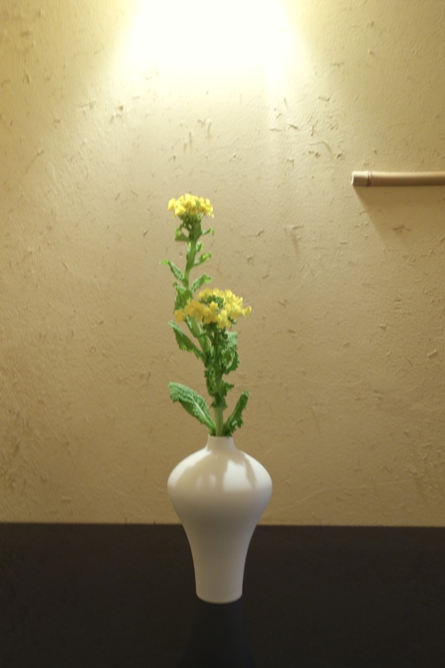 春は黄色の花からスタート_a0197730_115449.jpg