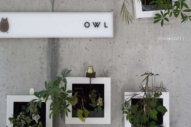 OWL(アウル) ~念願のランチ、そして立春朝搾りの日本酒~_e0227942_22124187.jpg
