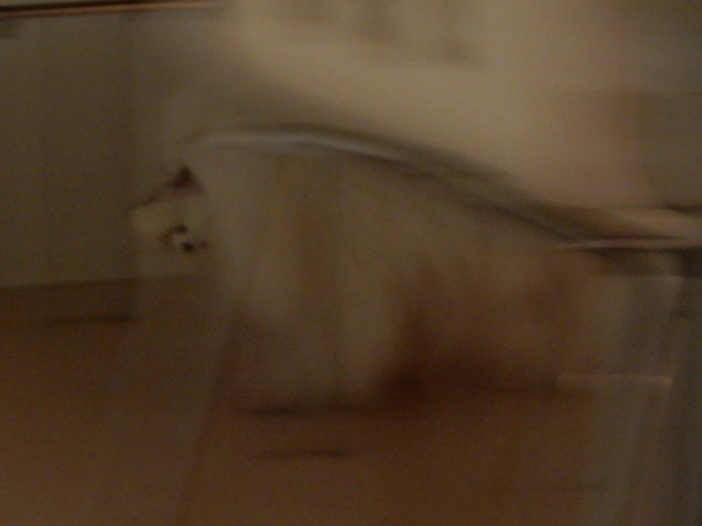 d0118050_12293597.jpg
