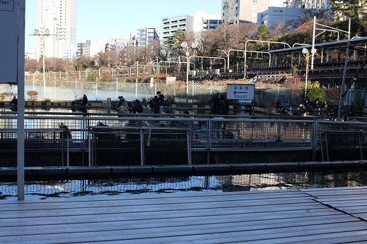 2016年12月30日_e0133255_17173990.jpg