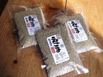 菊池水源産『白えごま油』の販売に向け、㈲堀内製油さんに搾油作業の依頼に行ってきました!(後編)_a0254656_1901286.jpg